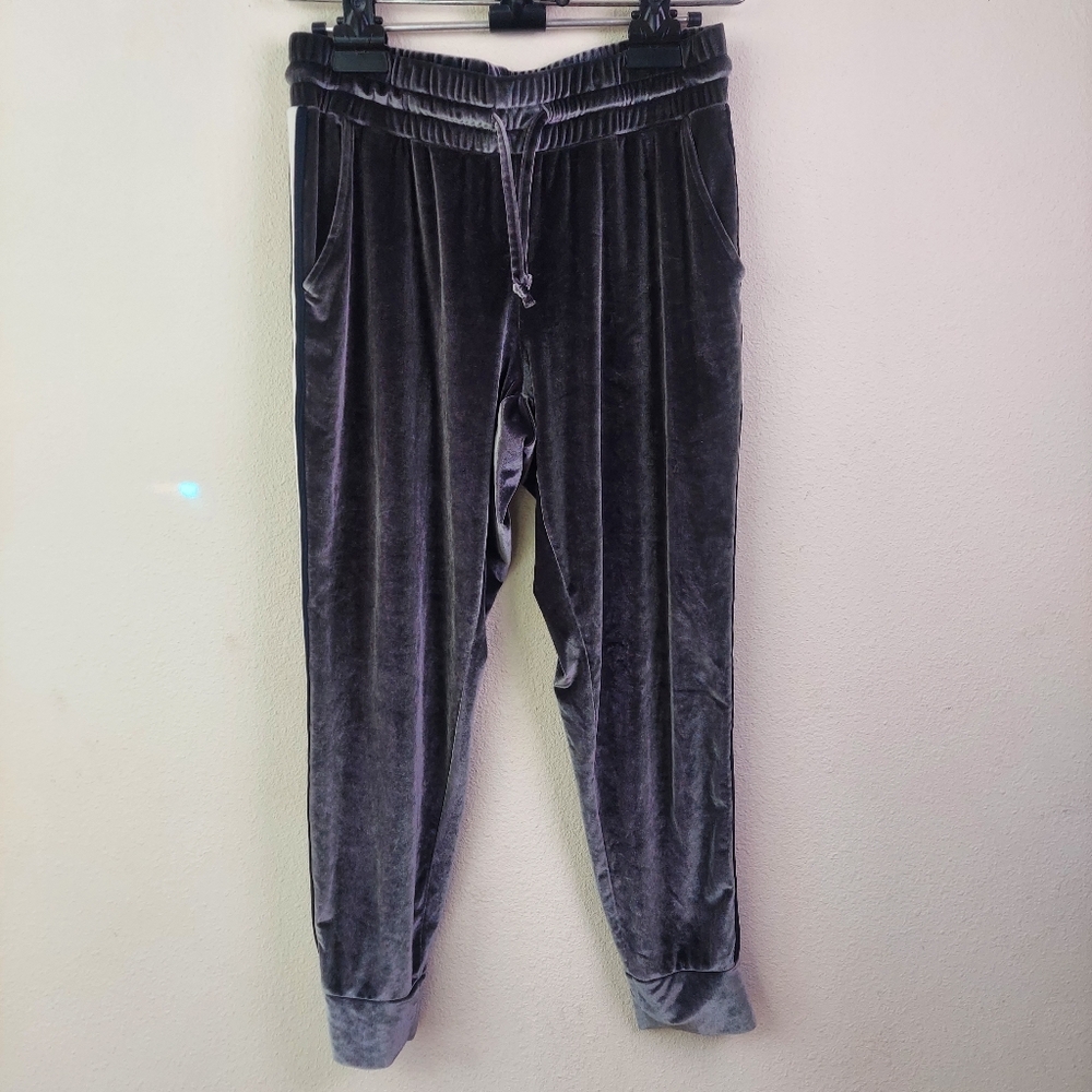 Velvet Jogger Pants in Charcoal Gray